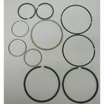 Champion Z799 Ring Set,champion,gardner Denver 22nn85. Fixed Price $157.17.