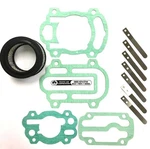 253 Type 30 Ingersoll Rand Compatible Level Ii Step Saver Kit # 32127417. Fixed Price $56.05.