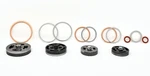 Champion Complete Valve Set W/ Gaskets For Model Ren10 , Z101. Fixed Price $152.14.
